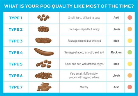 The bristol stool chart doesn't include color, . 6 reasons you really should care about your poop health