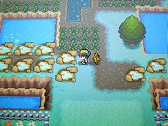 ポケモン サファリゾーン 雪に白鷺 日記淡々