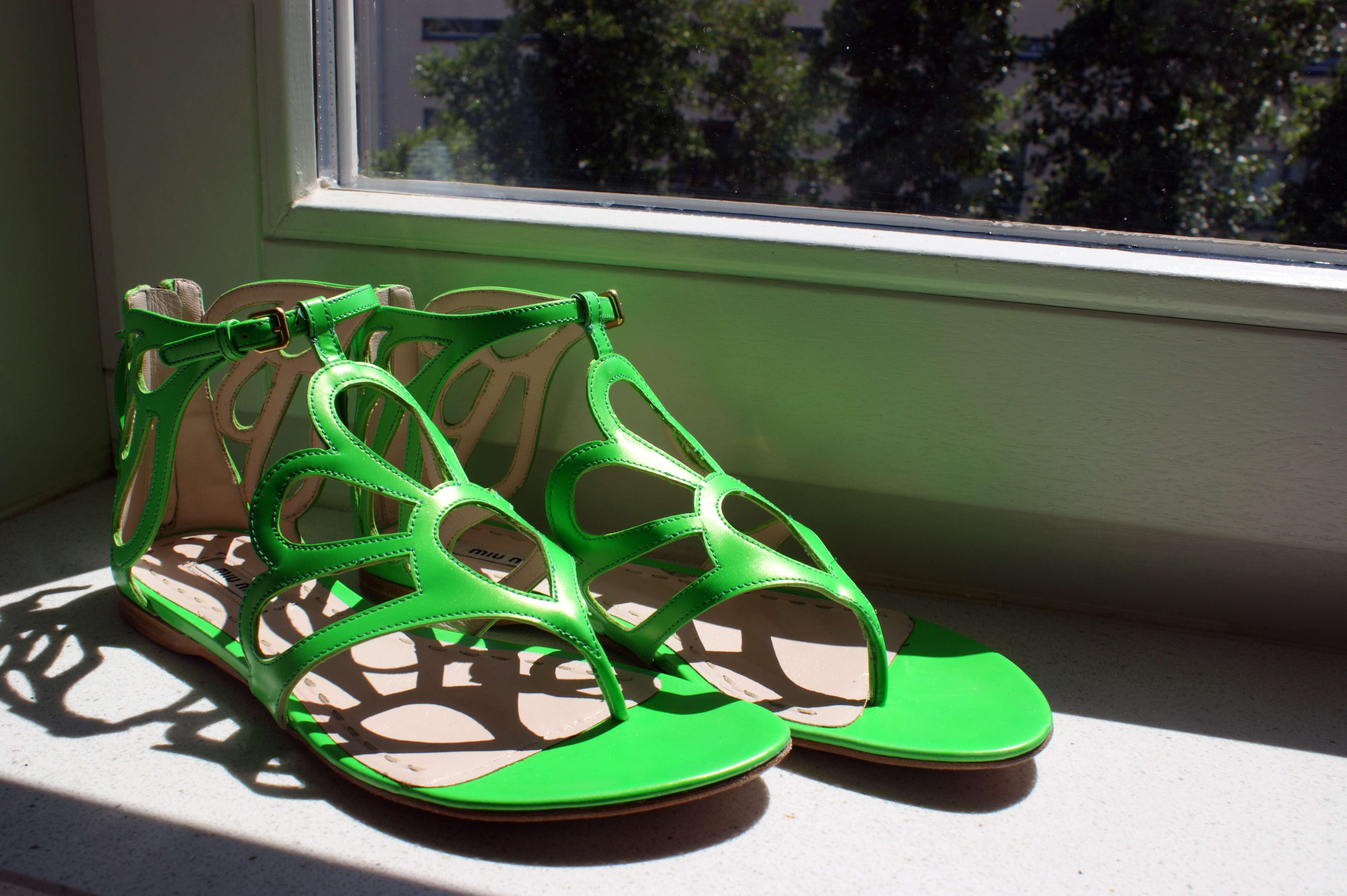 Image Hosted by ImageShack.us