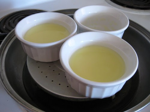 custardegg