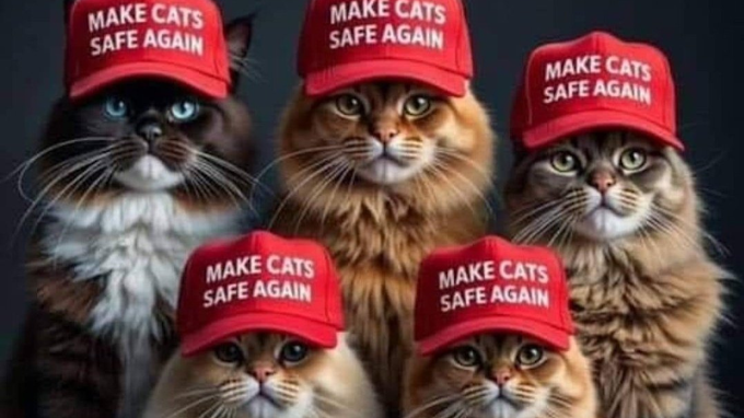 'Dead cat hanging from a tree': Origin of Haitian immigrants row. Everyone heard it