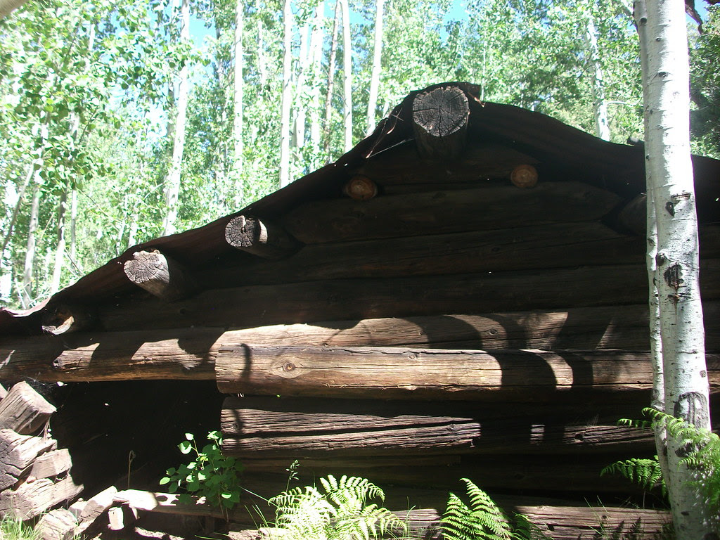 veit cabin