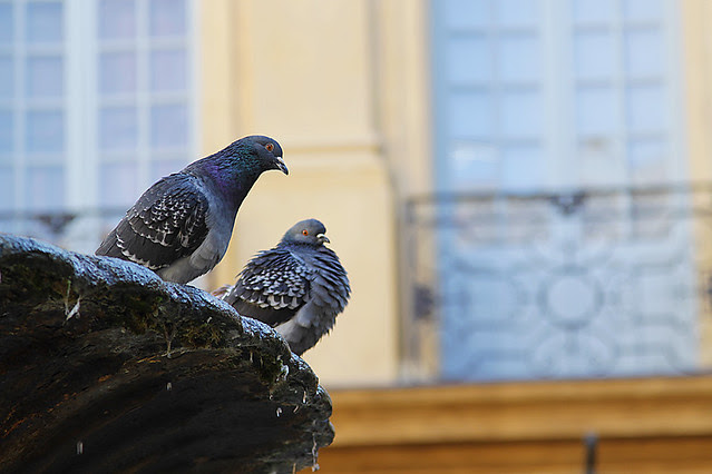 Aix20