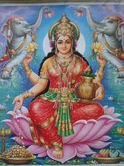 hindu goddess laxmi, Lakshmi