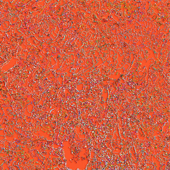 Diane Vetere, untitled 5, NanoArt 2006