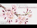 200以上 桜 花びら イラスト リアル 655143-桜 花びら イ���スト リアル