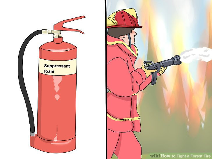 Fight a Forest Fire Step 9 Version 2.jpg