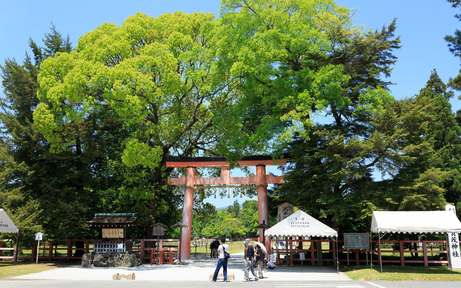 13年新緑の京都 上賀茂神社の壁紙 計17枚 壁紙 日々駄文