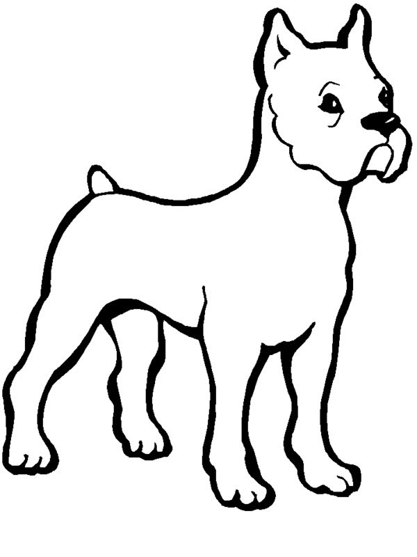 Bulldog coloring pages to download and print for free