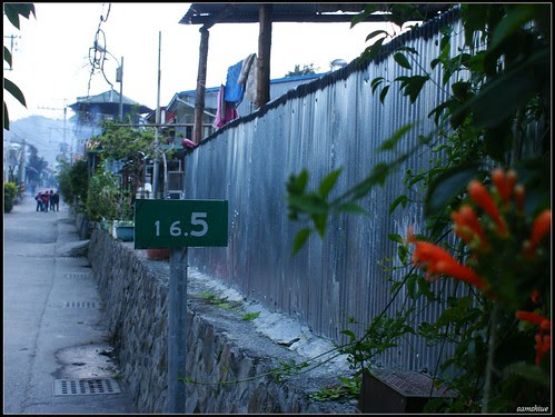 DSC03136