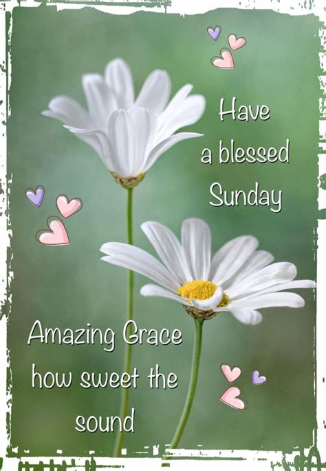 blessed sunday quotes ideas  pinterest