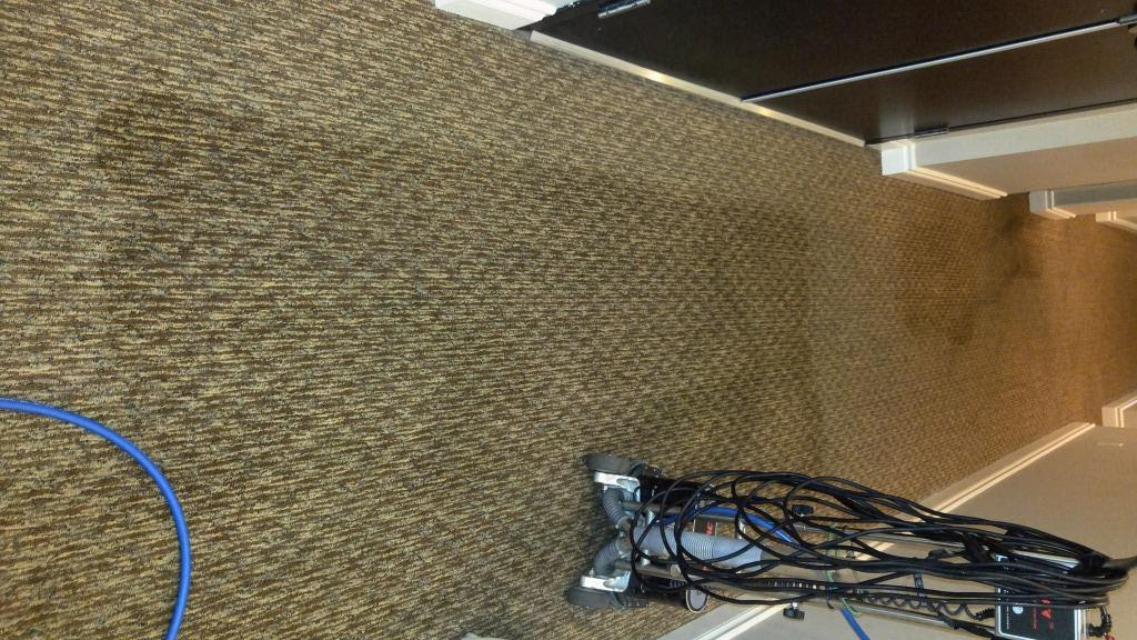 The one Carpet cleaning