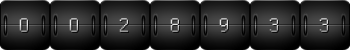 page hit counter