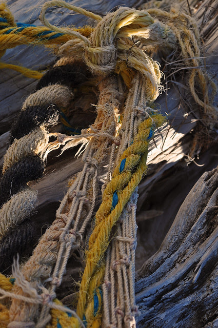 Rope Play (9)