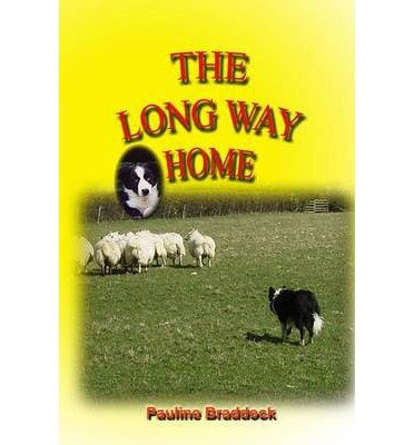 { [ THE ULTIMATE GUIDE TO TEXT AND PHONE GAME ] } Braddock ( AUTHOR ) May-29-2012 Paperback, by Braddock