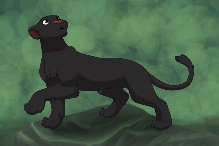 lions