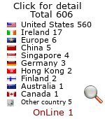 web page counter
