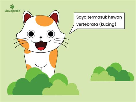 macam macam hewan vertebrata