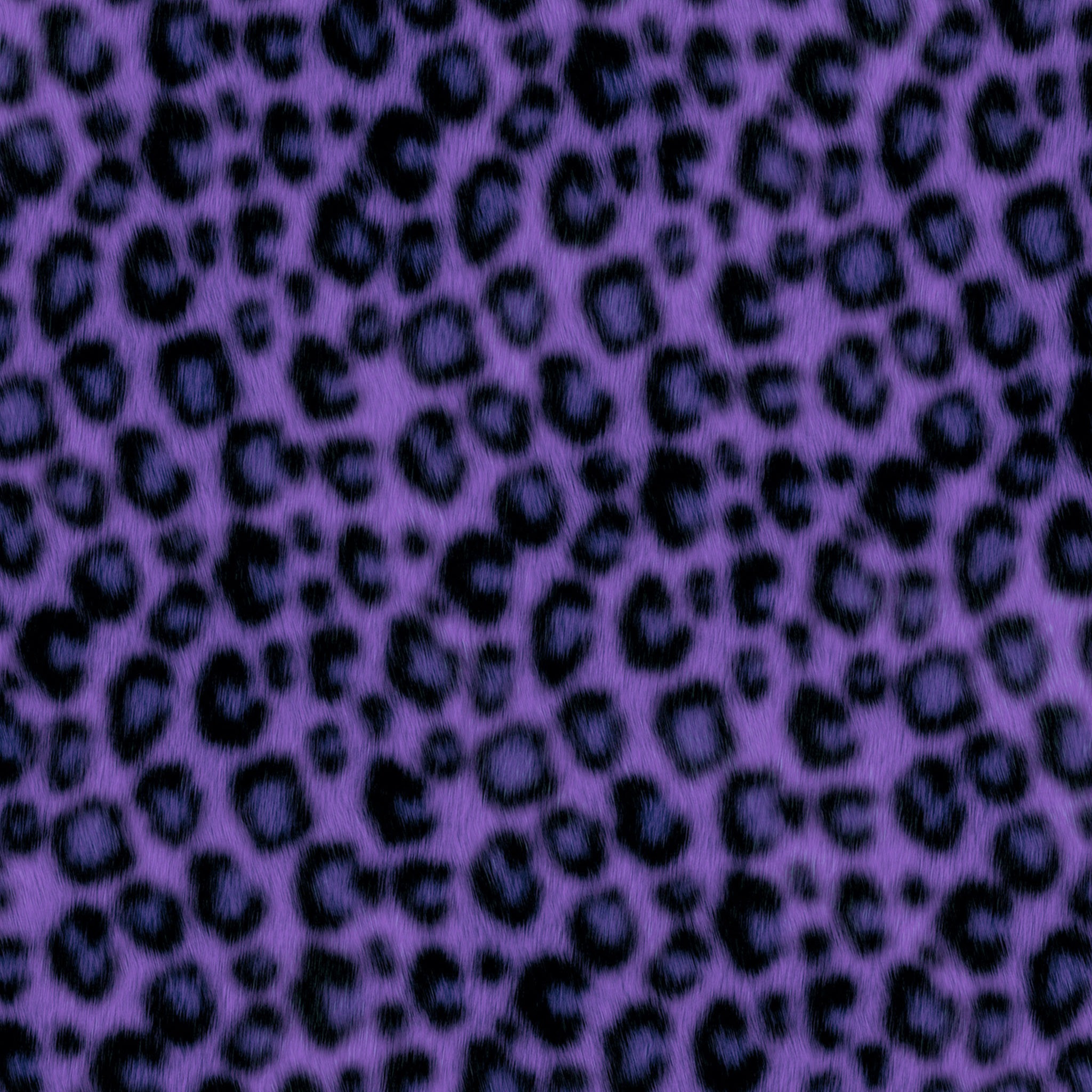 壁紙 紫 ヒョウ 柄 Hd壁紙画像