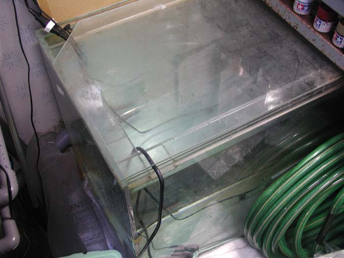 大型水槽の水換え 南国魚庵