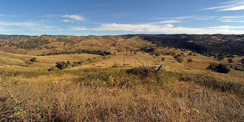 gold rush australia 1850. gold rush australia 1851.