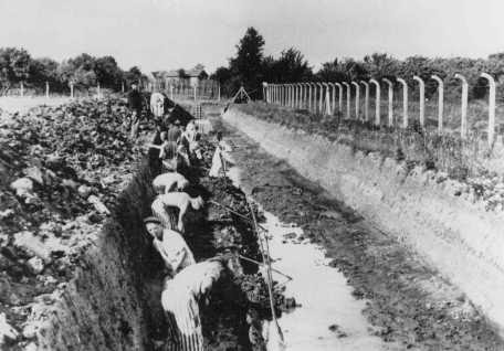 holocaust concentration camps. Concentration Camps, 1939-1942