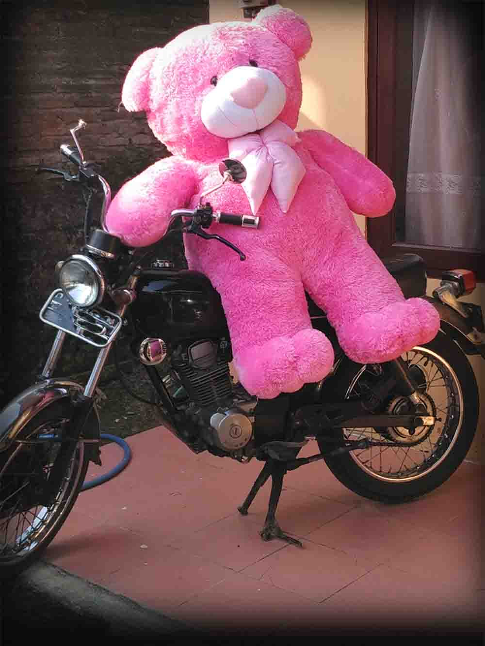 Jual Boneka Teddy Bear Choosy Giant Super Jumbo Pink Muda