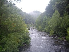 IMGP8090