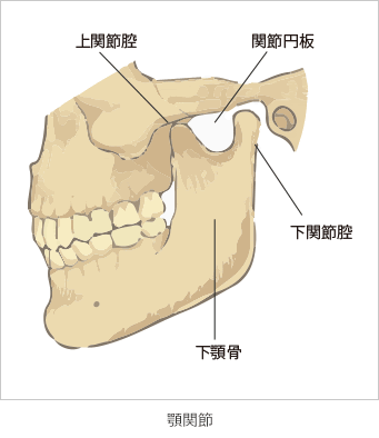 デントレ通信vol39 1 Dentrex デントレックス