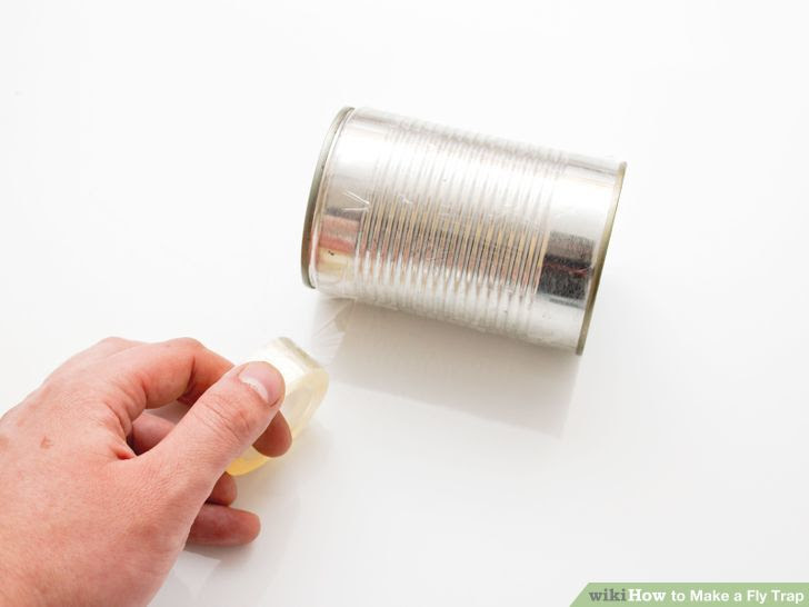 Make a Fly Trap Step 14 Version 3.jpg