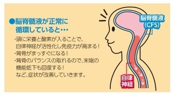 治療メニュー 脳脊髄液治療 なかざわ整骨院