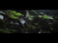 Видео Spider - After Effects 3D camera Tracking