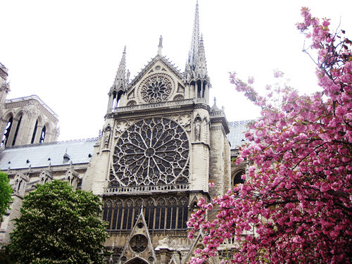 paris 5 226