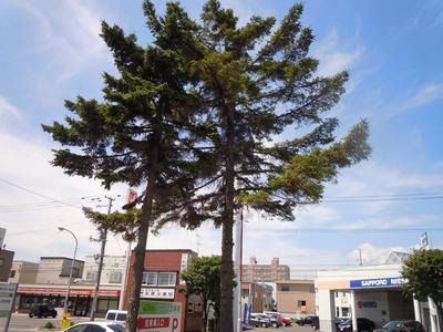 店舗日記 公式サイト 北海道札幌市西区琴似にあるベンリー札幌琴似店