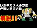 ポケモン剣盾色違いレイド やり方 553128-ポケモン剣盾色違いレイド やり方