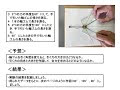 [最も欲しかった] 力のはたらき 中3 946152-中3 理科 力のはたらき 問題
