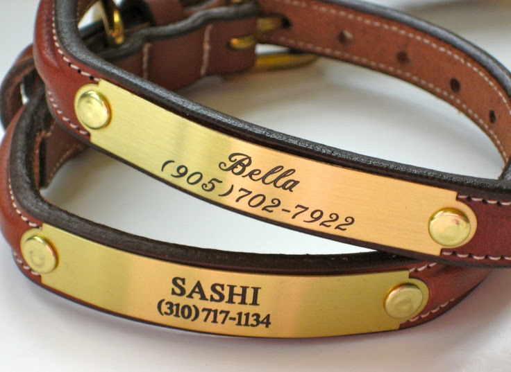 Custom Leather ( Brass Plate ) Dog Collars