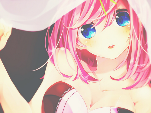 “Ngây Ngất” hình ảnh hoạt hình Anime dễ thương nhất năm