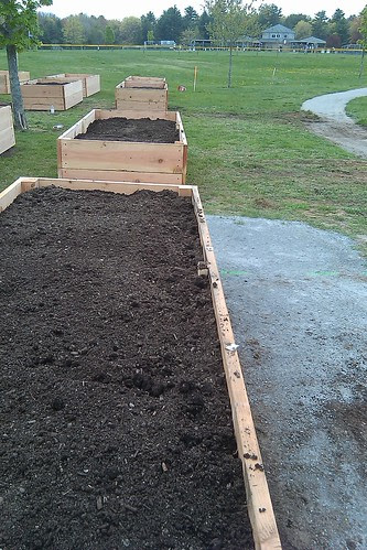 Build day - ready for planting