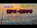 海 サクラマス カラー 468473-海 サクラマス ルアー カ��ー