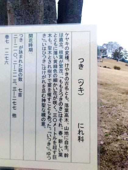 宴会は座敷ならぬ百枝槻の木の下で 大神神社御用達の大正楼