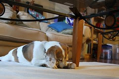 baileysleep