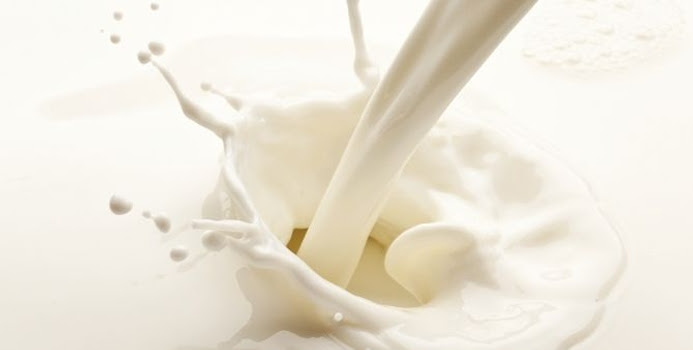 Image result for milk