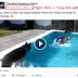 Free Download Video In Facebook / Then in the share screen, look for the option to copy link.