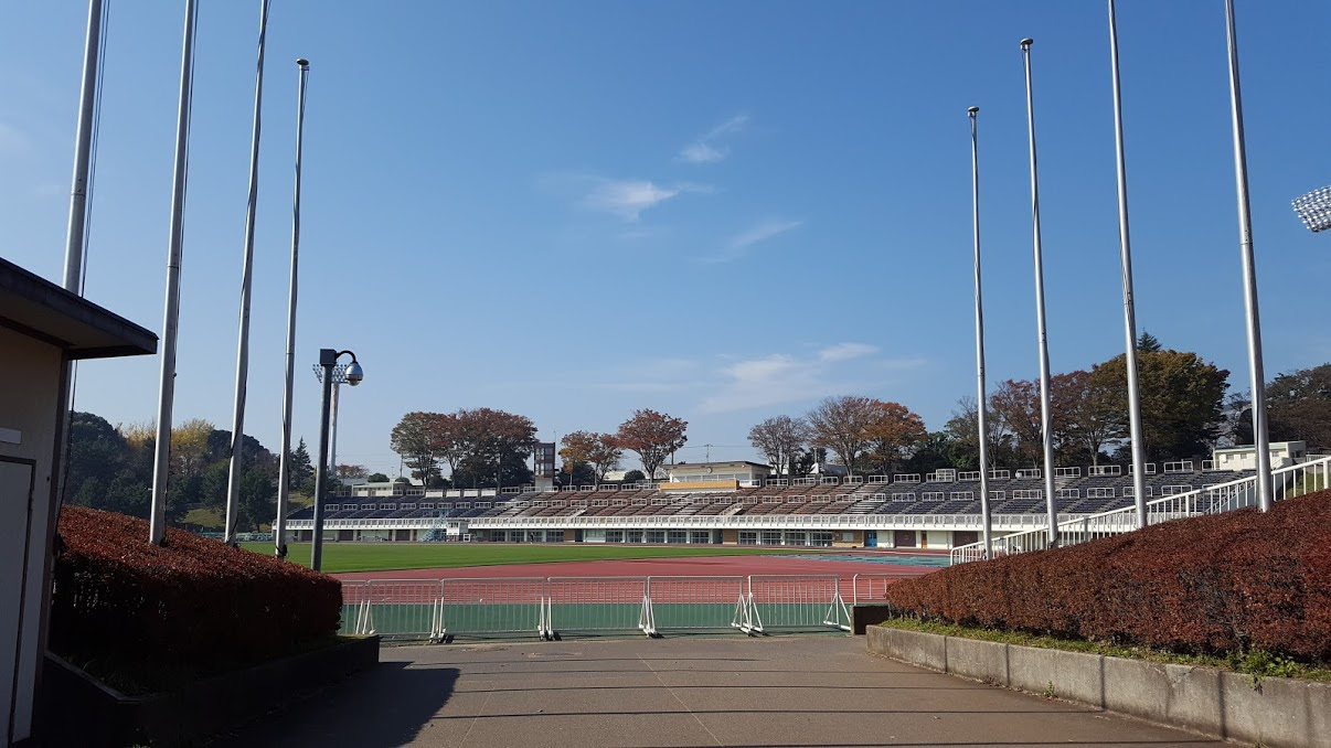 犬と行く横浜お出かけスポット三ツ沢公園 歴史がある巨大運動公園 桜の名所