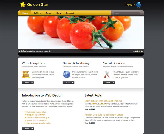 45 High-Quality Free HTML/CSS Templates from 2011 and 2012