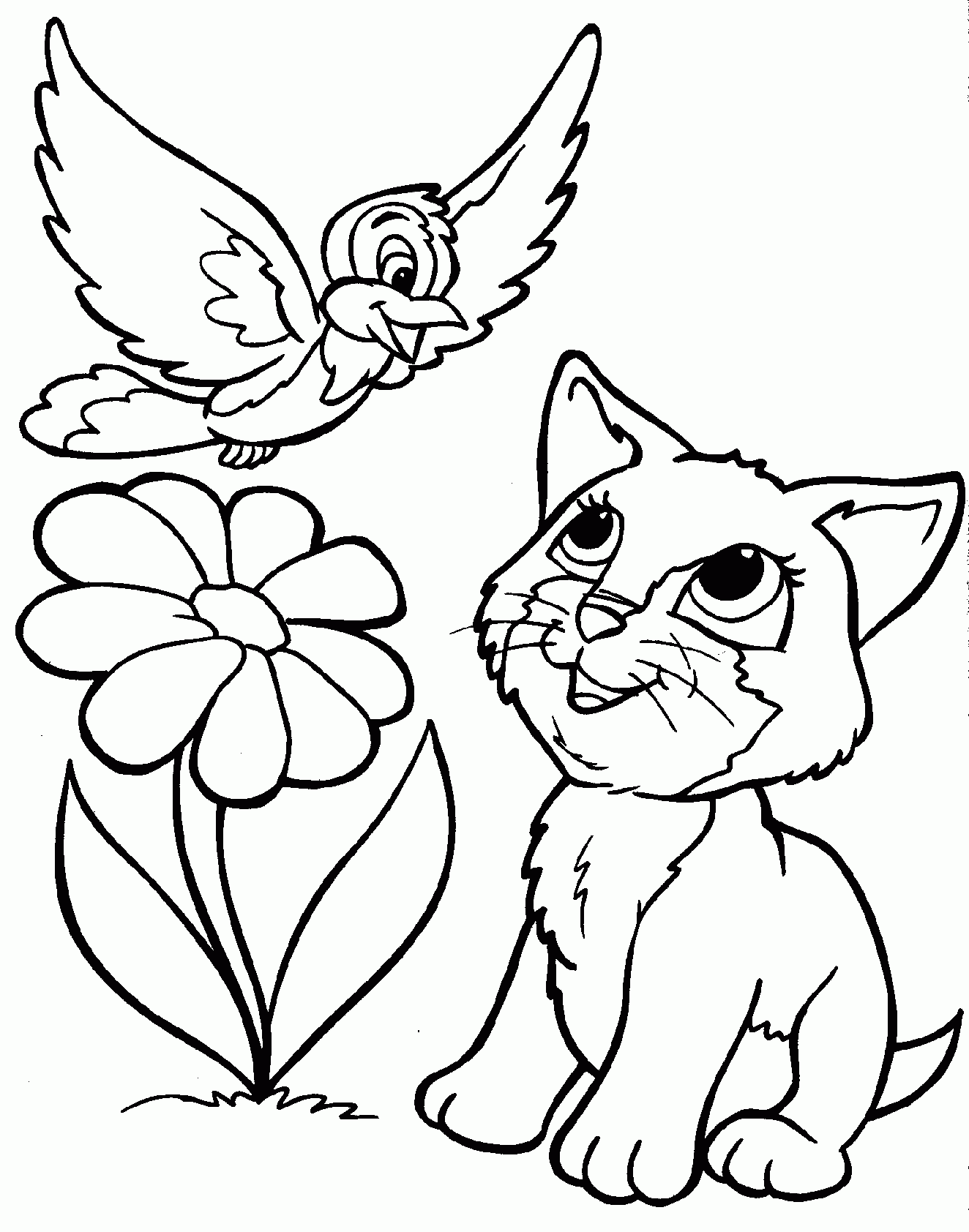 Coloriage de chats