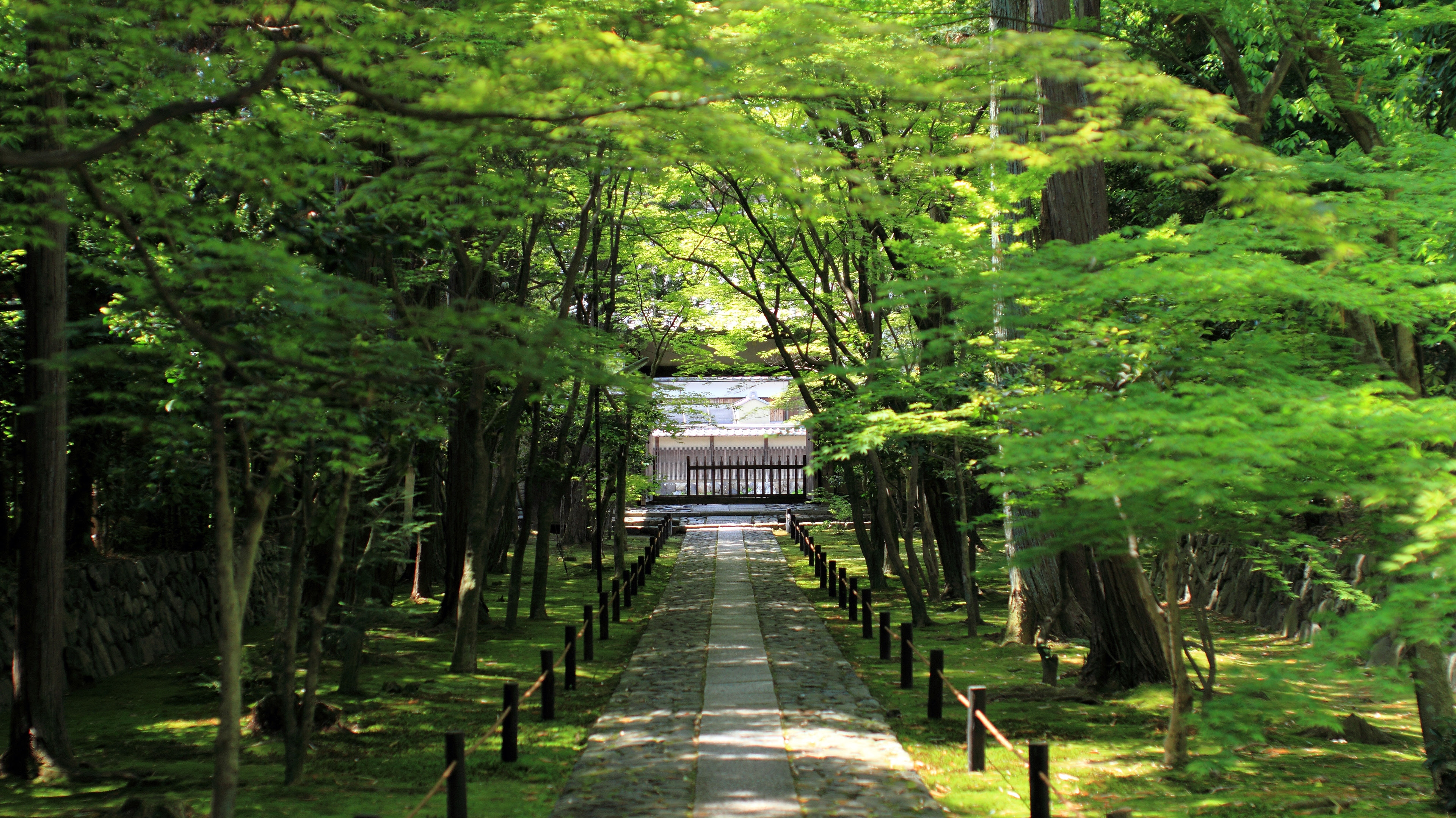 4k 12年 新緑 濃緑の京都壁紙その3 計11枚 壁紙 日々駄文