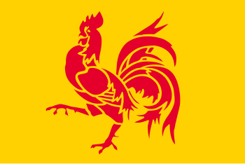 Flag of Wallonia فارسی: پرچم والونیا Nederland...