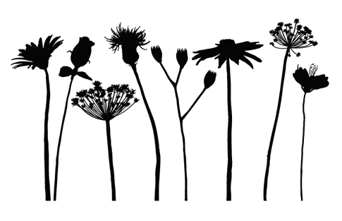 Free Free 256 Silhouette Flower Border Svg SVG PNG EPS DXF File